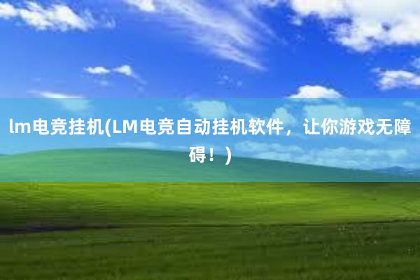 lm电竞挂机(LM电竞自动挂机软件，让你游戏无障碍！)