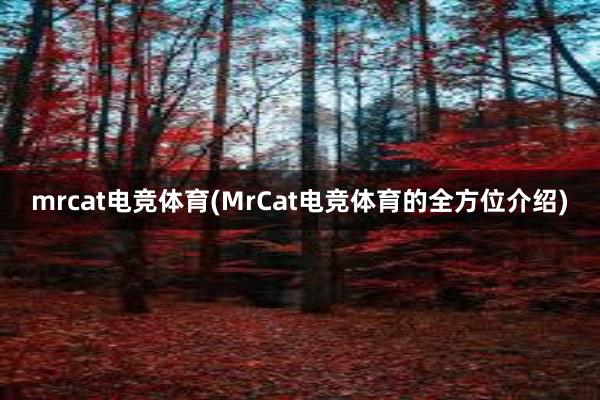 mrcat电竞体育(MrCat电竞体育的全方位介绍)