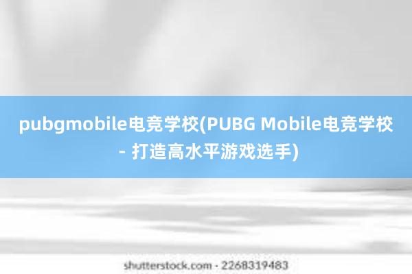 pubgmobile电竞学校(PUBG Mobile电竞学校 - 打造高水平游戏选手)