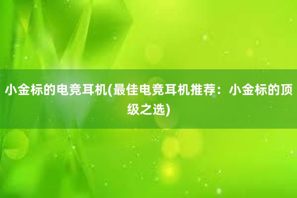 小金标的电竞耳机(最佳电竞耳机推荐：小金标的顶级之选)