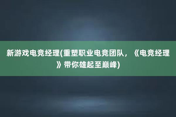 新游戏电竞经理(重塑职业电竞团队，《电竞经理》带你雄起至巅峰)