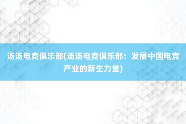 汤汤电竞俱乐部(汤汤电竞俱乐部：发展中国电竞产业的新生力量)