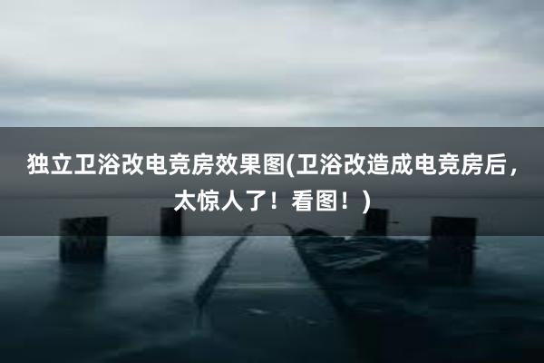 独立卫浴改电竞房效果图(卫浴改造成电竞房后，太惊人了！看图！)