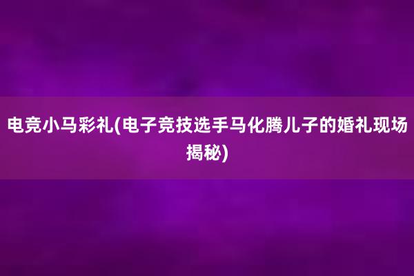 电竞小马彩礼(电子竞技选手马化腾儿子的婚礼现场揭秘)