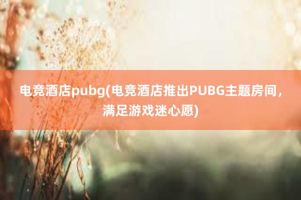 电竞酒店pubg(电竞酒店推出PUBG主题房间，满足游戏迷心愿)