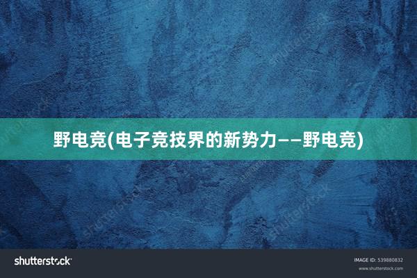 野电竞(电子竞技界的新势力——野电竞)