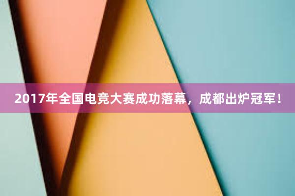 2017年全国电竞大赛成功落幕，成都出炉冠军！