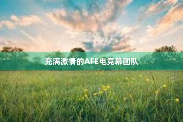 充满激情的AFE电竞幕团队