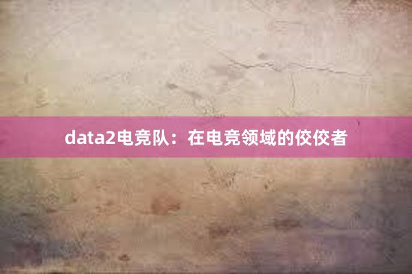 data2电竞队：在电竞领域的佼佼者