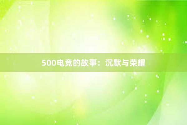 500电竞的故事：沉默与荣耀