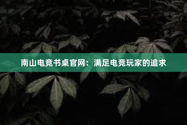 南山电竞书桌官网：满足电竞玩家的追求