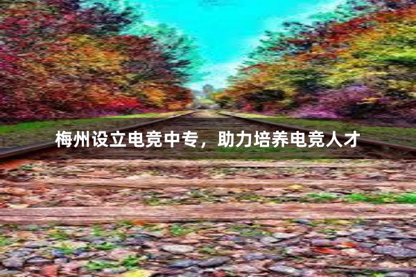 梅州设立电竞中专，助力培养电竞人才