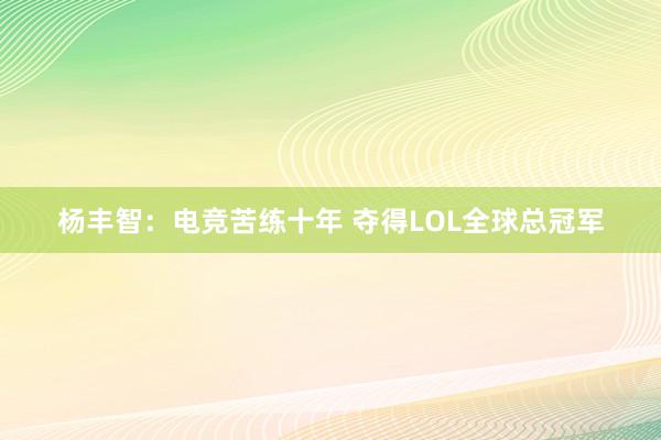 杨丰智：电竞苦练十年 夺得LOL全球总冠军