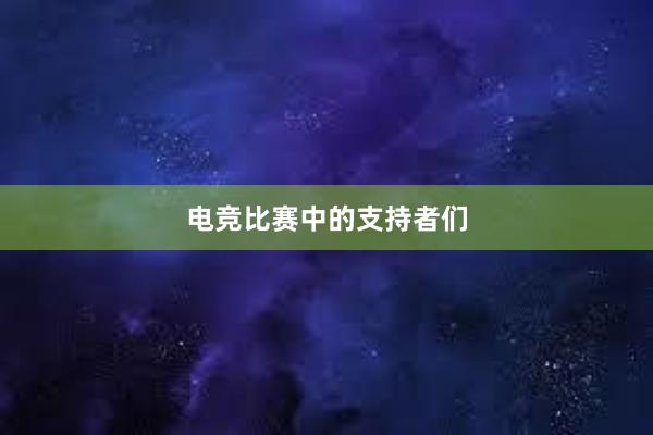 电竞比赛中的支持者们